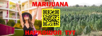 винт Тара