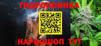 spice Тверь