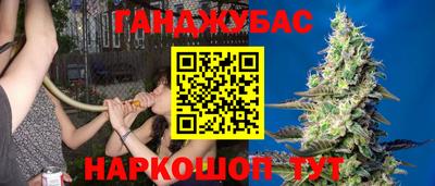 винт Тара