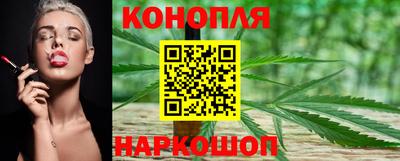 винт Тара