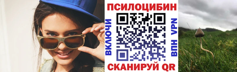 купить наркотики цена площадка клад Псилоцибиновые грибы прущие грибы Одинцово